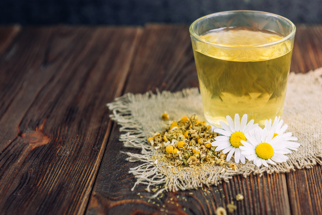 A cup of chamomile flowers tea with fresh and dried chamomile flowers beside it on a wooden surface