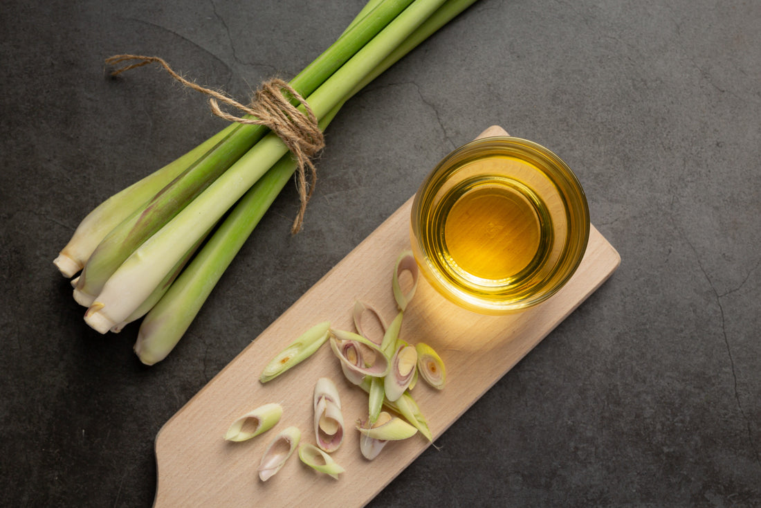 Stalks of lemongrass with a bowl of lemongrass essential oil and chopped up lemongrass near it on a wooden plate placed on a black background