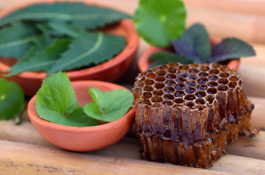 Top 10 Neem Honey Benefits: Health Boosting Superfood