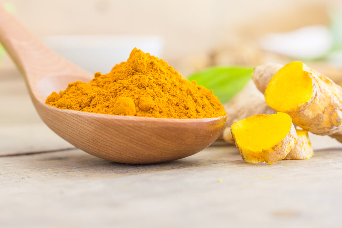 A spoon of raw organic turmeric powder with cut pieces of fresh ginger beside it on a marble surface