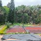 Arabica Coffee Beans Sun drying