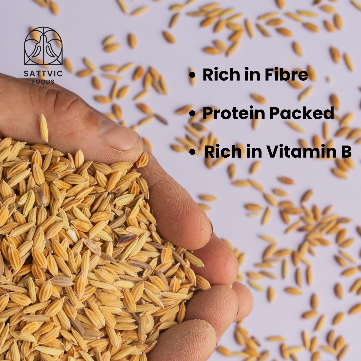 Himalayan Rye Grains | Rich in Dietary Fibre